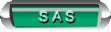 SAS